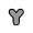 Y
